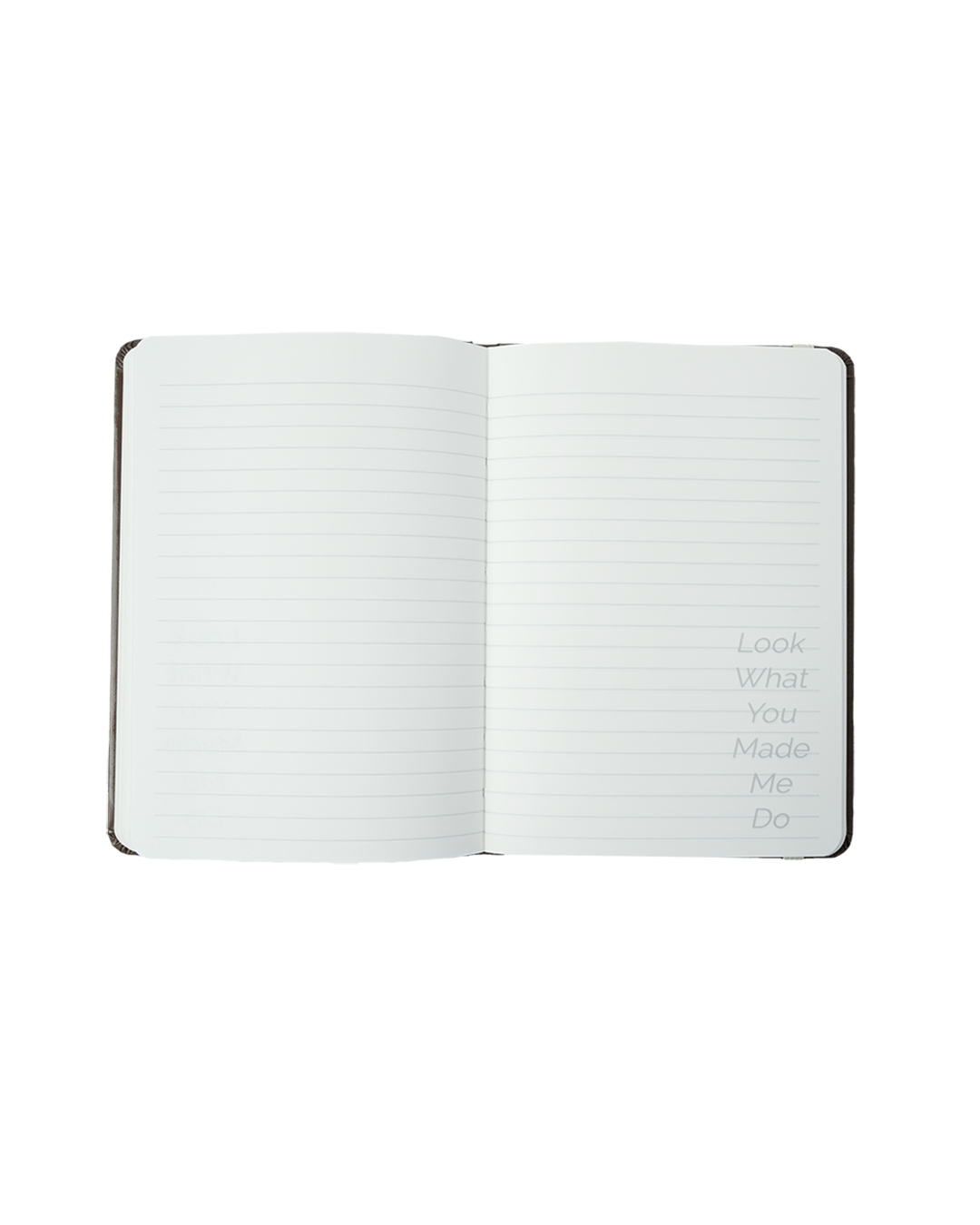 Jack Leopards & The Dolphin Club Notebook inside