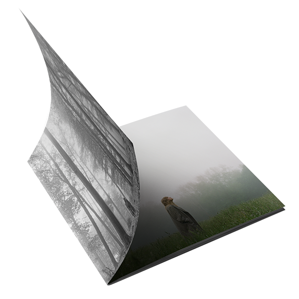 1. the "in the trees" edition deluxe cd Booklet