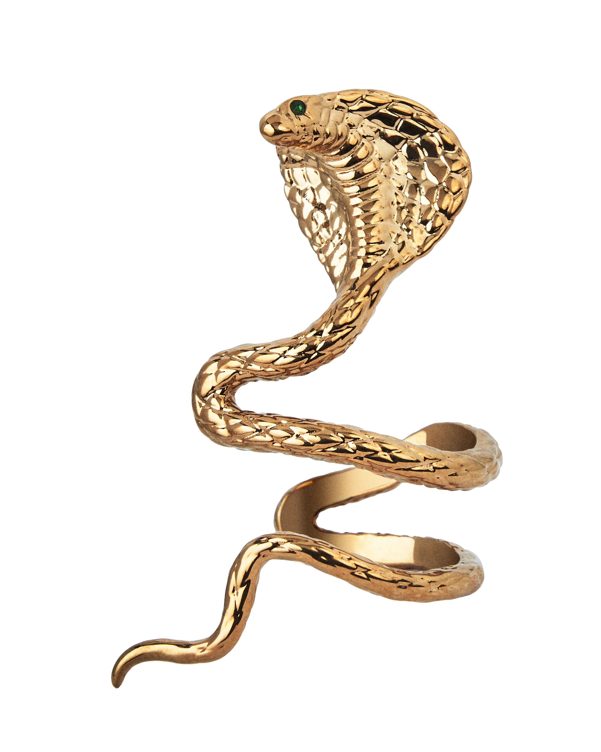 Reputation Album Snake Ear Cuff 1