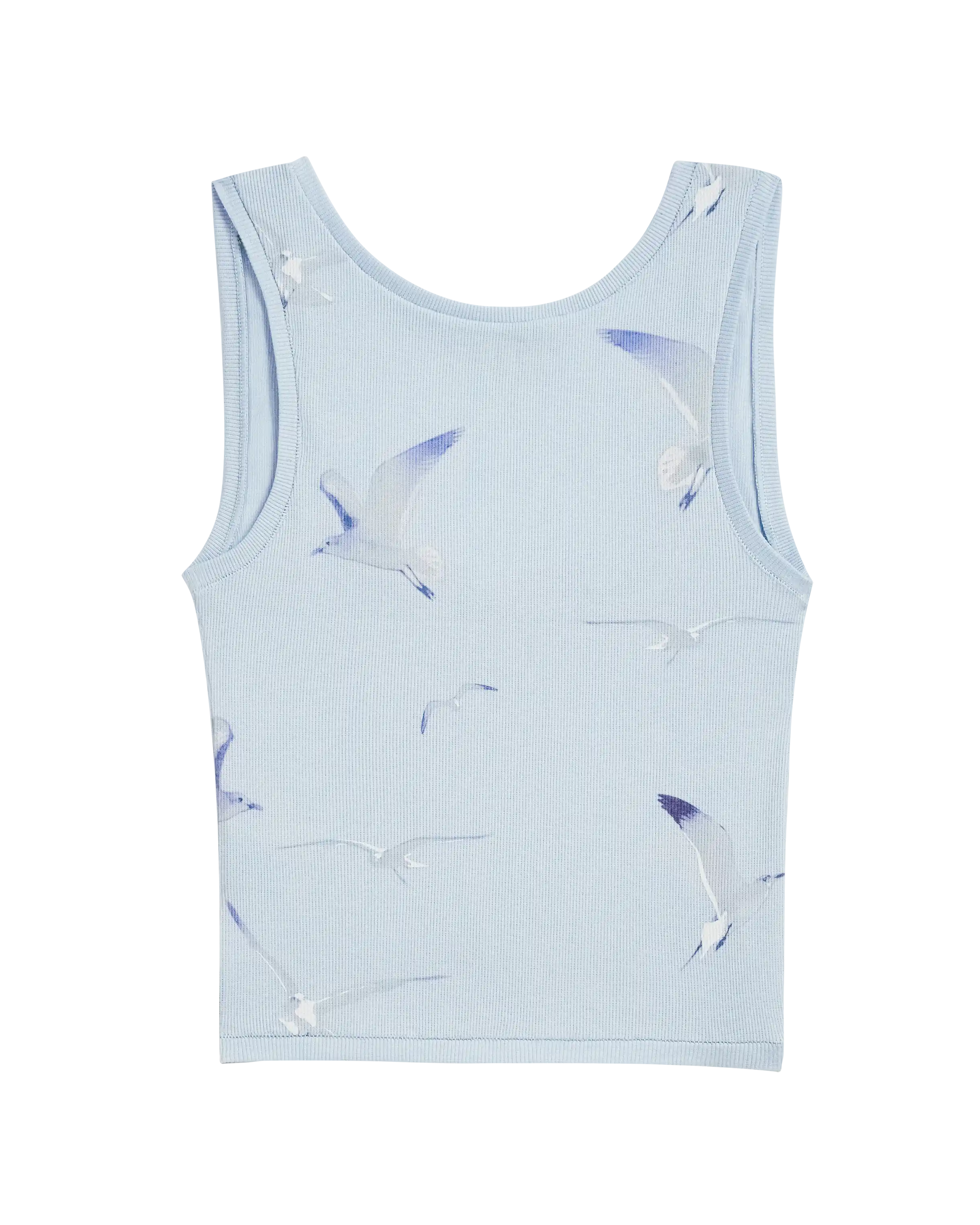 1989 Blue Seagull Tank Back