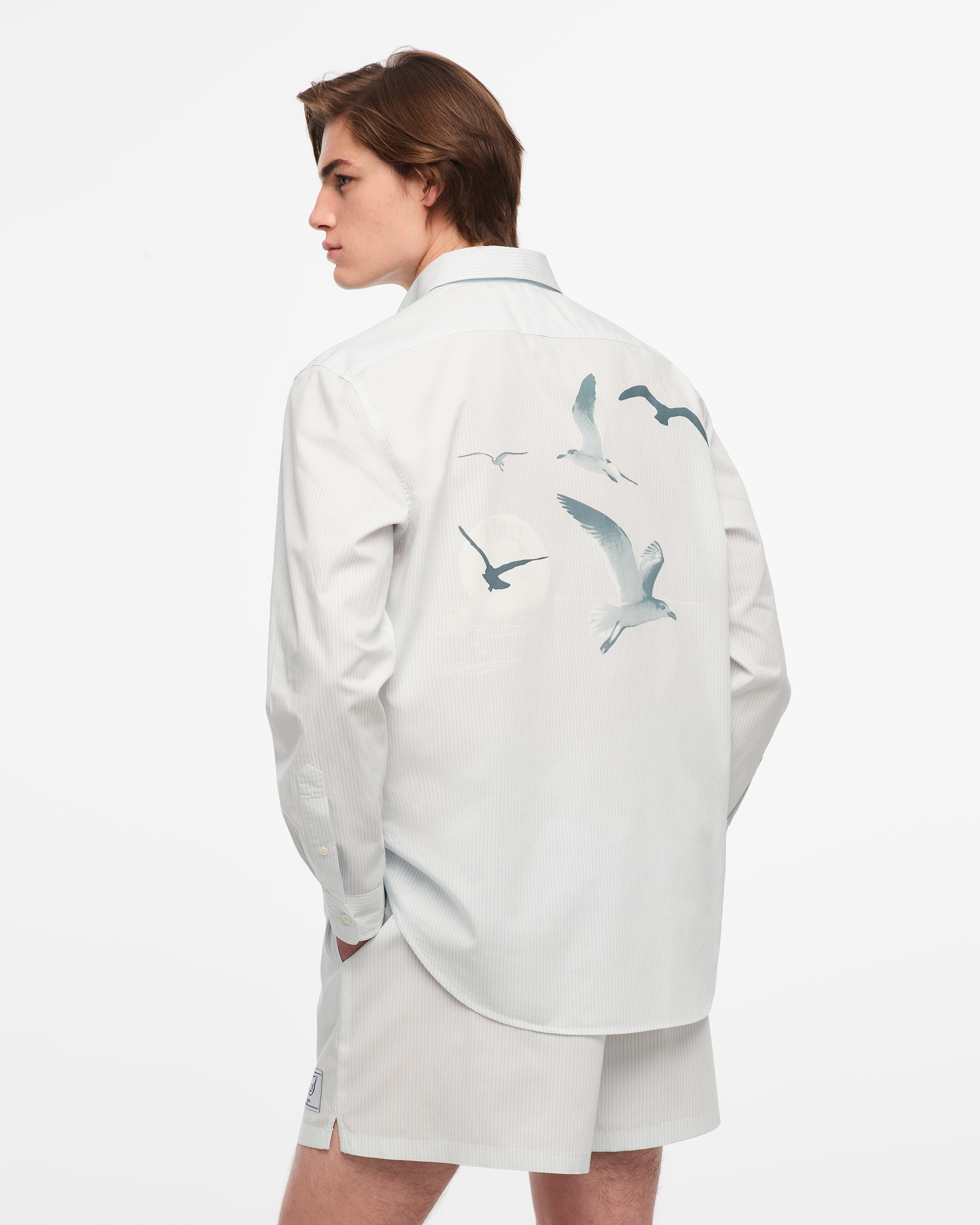 1989 (Taylor’s Version) Seagull Blue Stripe Poplin Shirt 5