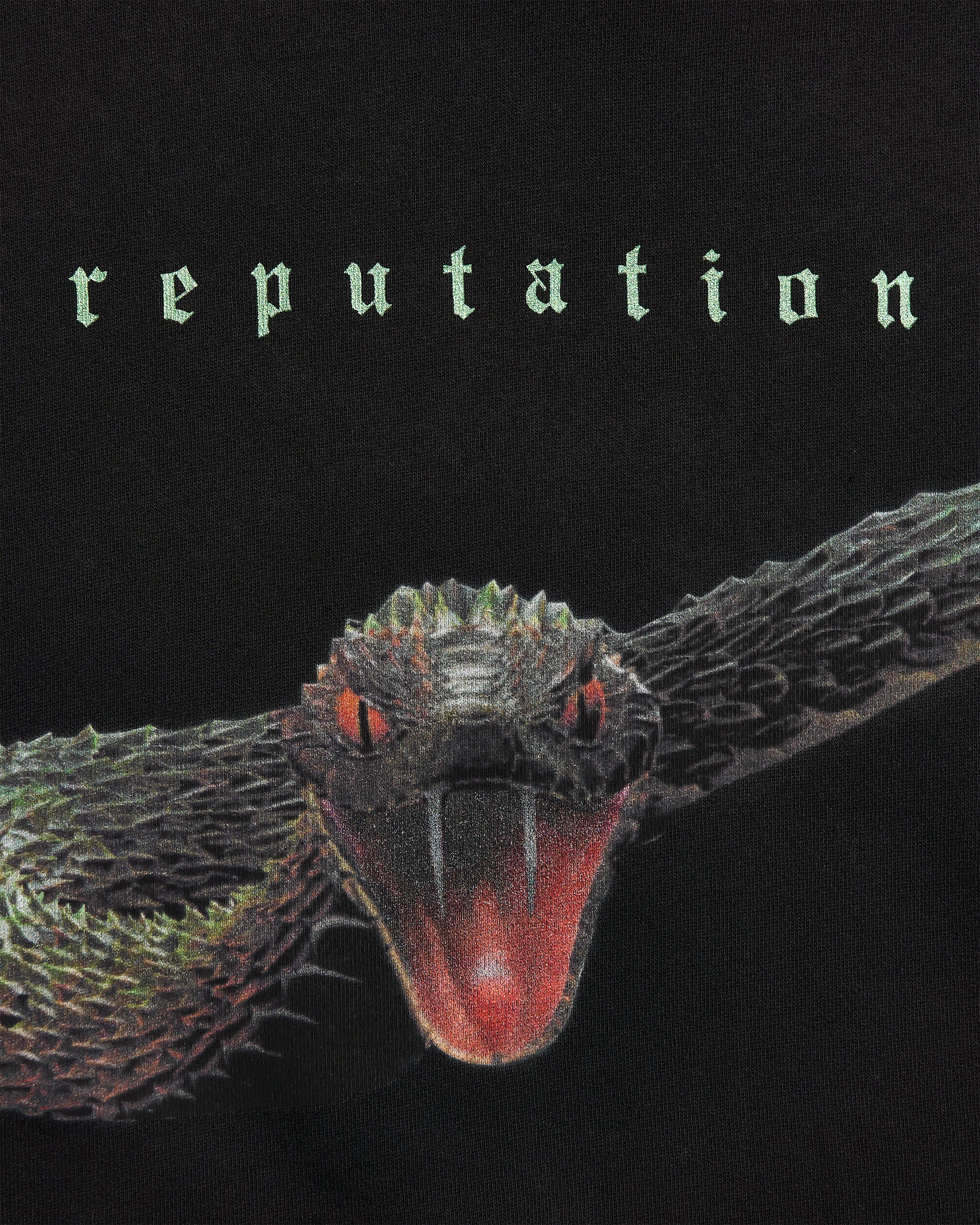 Reputation Album Snake Hoodie 4