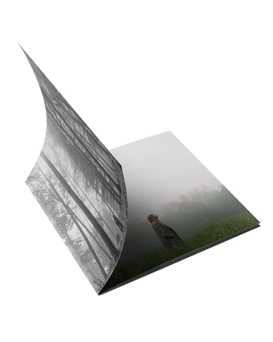 1. the "in the trees" edition deluxe cd inside
