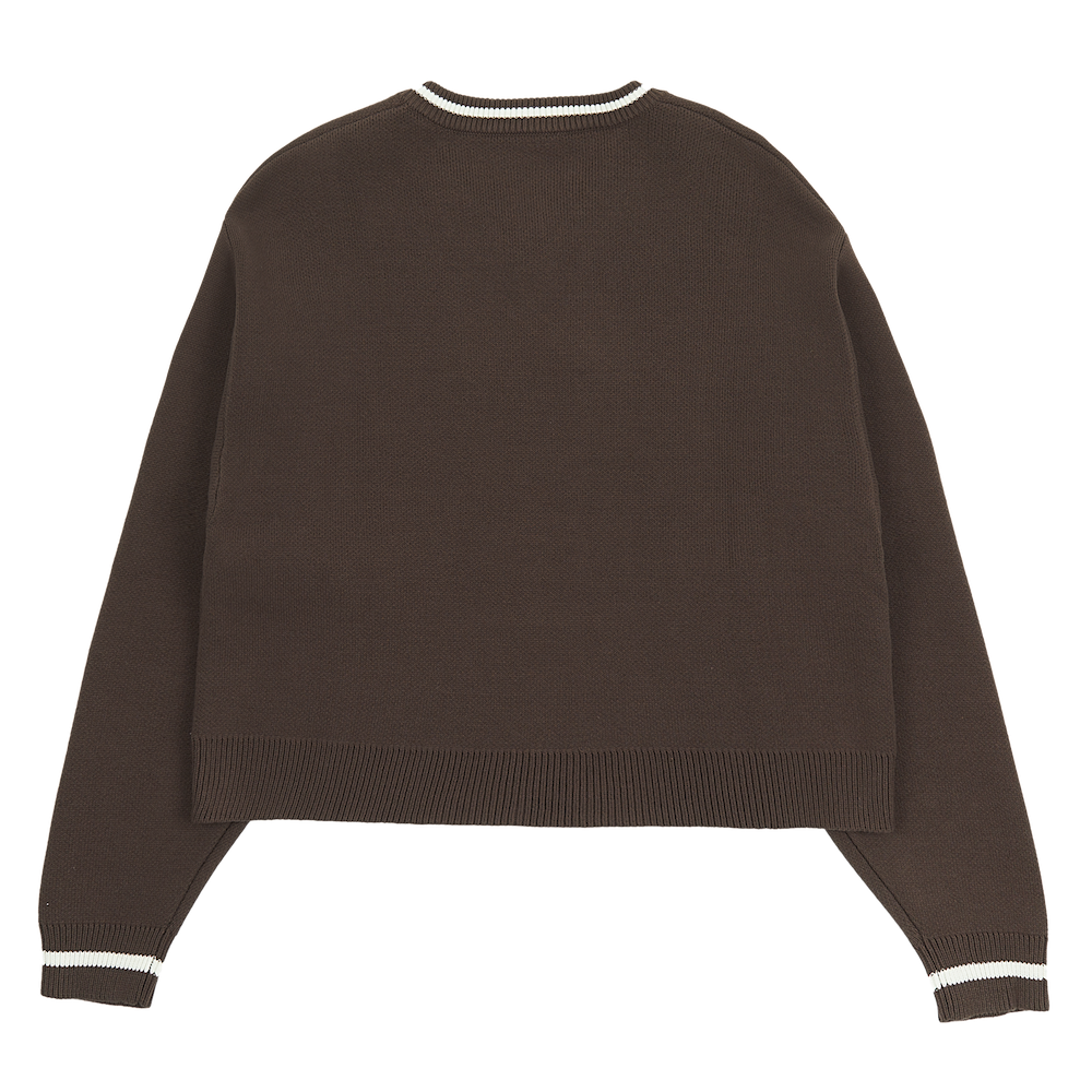 TTPD V-Neck Sweater Back